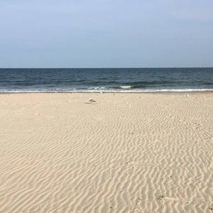 Meet your Posher, Kayden